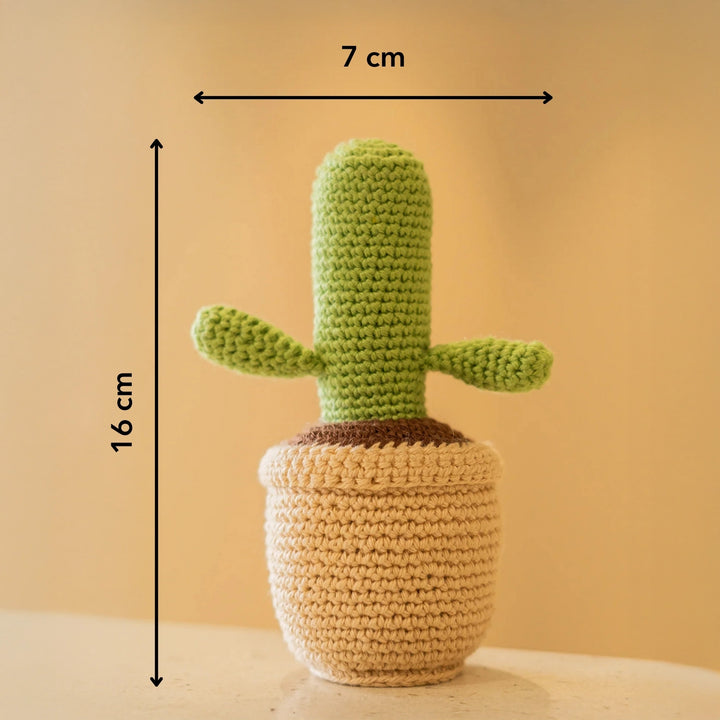 Crochet Cactus Pot