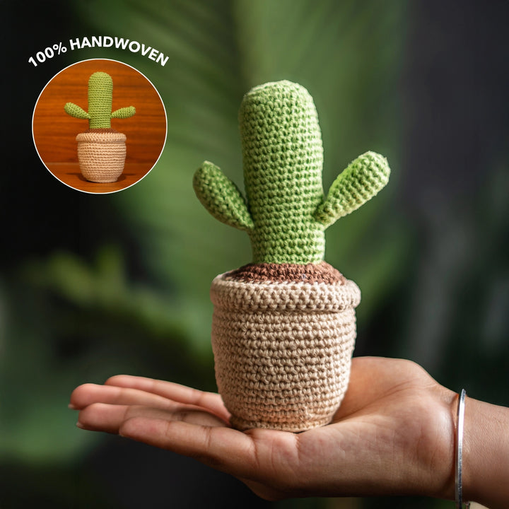 Crochet Cactus Pot