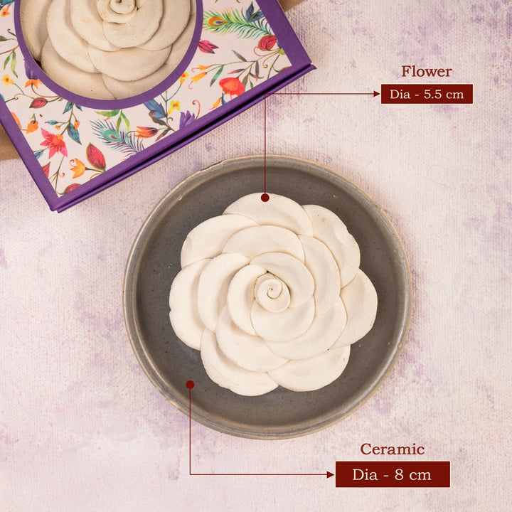 Festive Fragrance Essentials