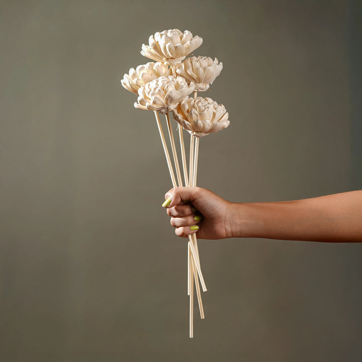 Forever Bloom Rosette Stem - White | Sola Wood Flower