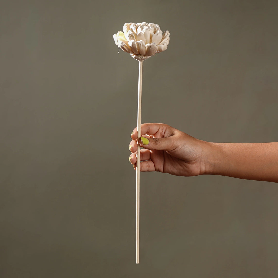 Forever Bloom Rosette Stem - White | Sola Wood Flower