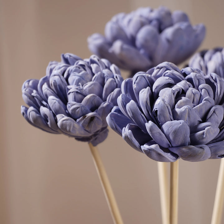 Forever Bloom Rosette Stem - Lilac | Sola Wood Flower