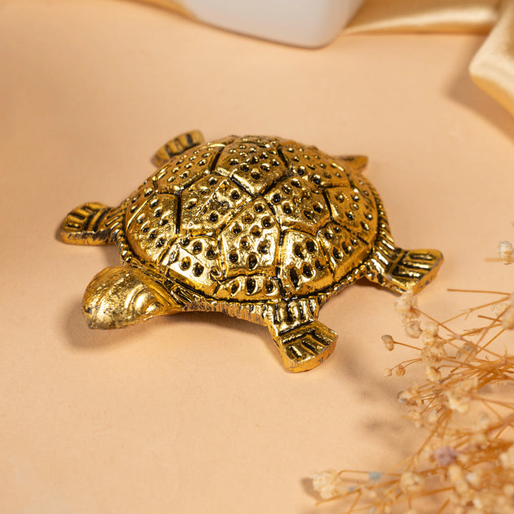Rustic Fengshui Tortoise Set