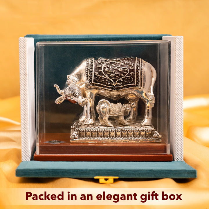 Kamdhenu Cow With Calf