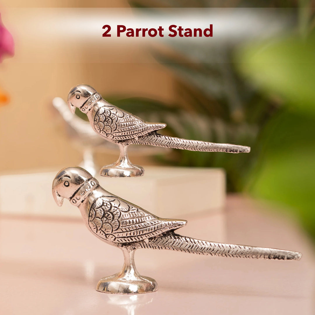 Parrot Stands