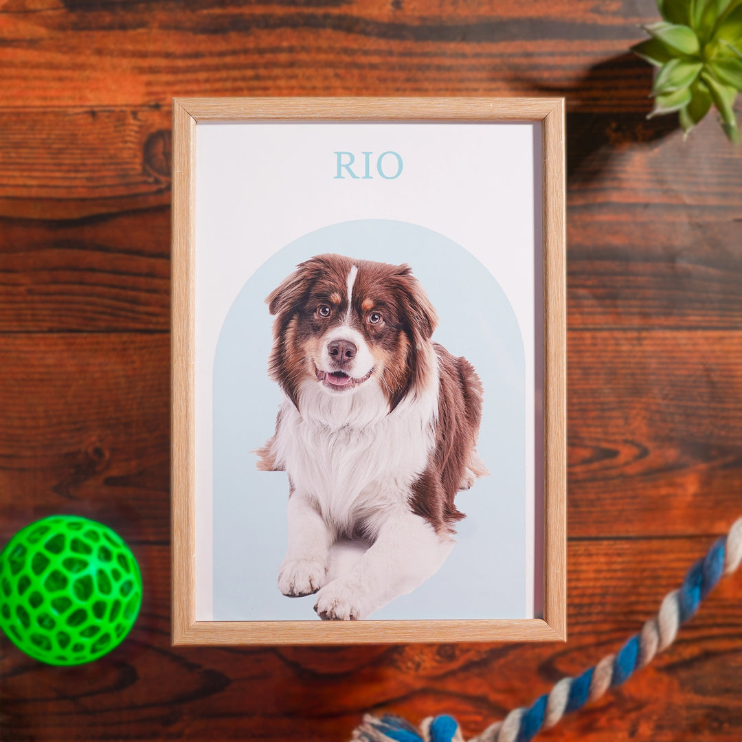 Pet Photo - Personalized Frame | A4 Light Brown