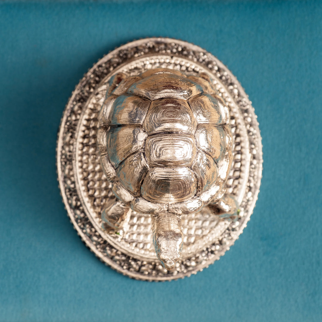 Turtle Showpiece