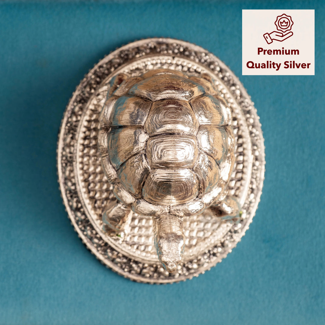 Turtle Showpiece