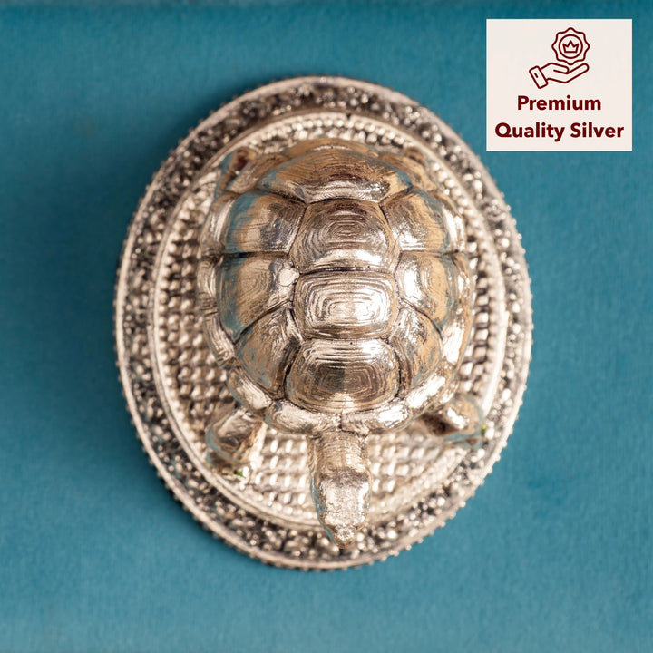 Turtle Showpiece