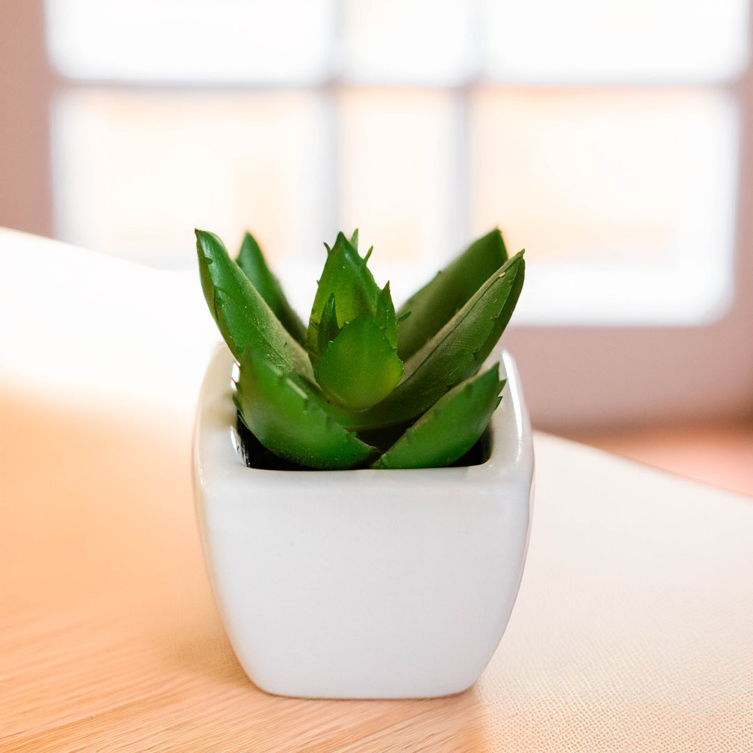 Artificial Mini Succulent Plant