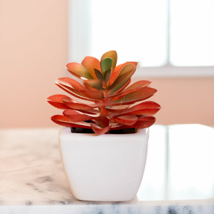 Artificial Mini Succulent Plant